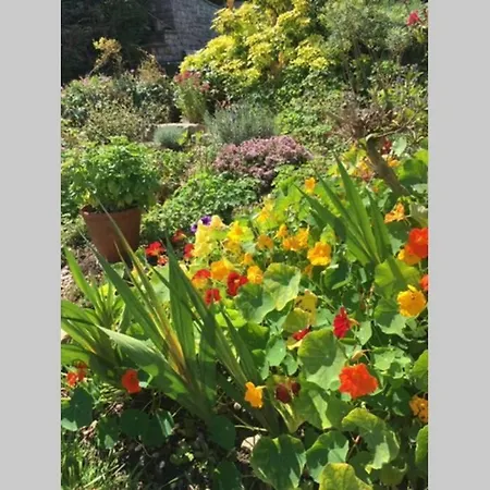 16 Century Farmhouse Cottage, Foothills Of Iconic Glastonbury Tor. Esterno foto