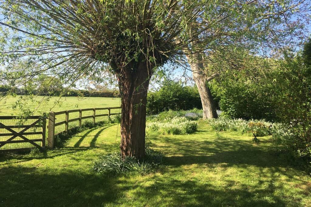 16 Century Cottage, Foothills Of Iconic Tor. * Glastonbury